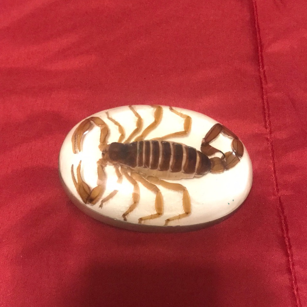 Scorpion belt buckle